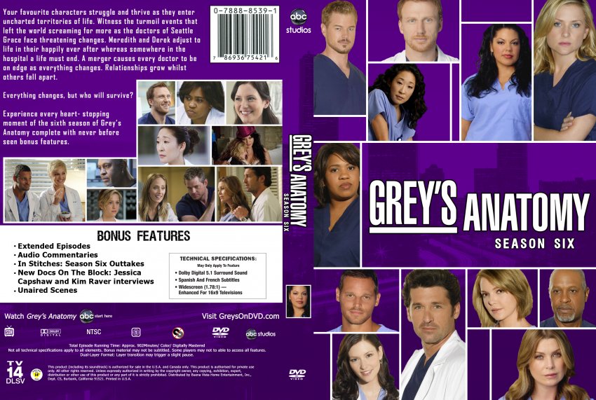 Grey_s_Anatomy_Season_6_Custom