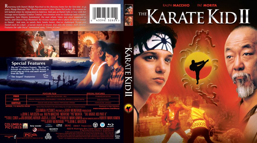 The Karate Kid 2