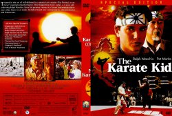 Karate Kid v2