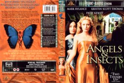 angels and insects
