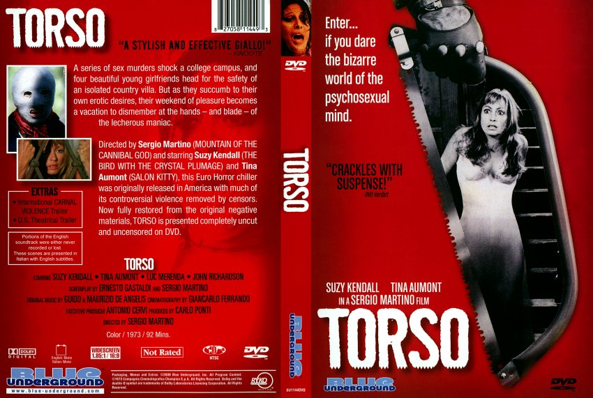 Torso