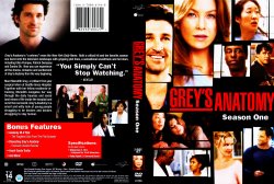 Grey's Anatomy Season 1 Custom