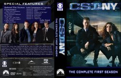 CSI NY S1