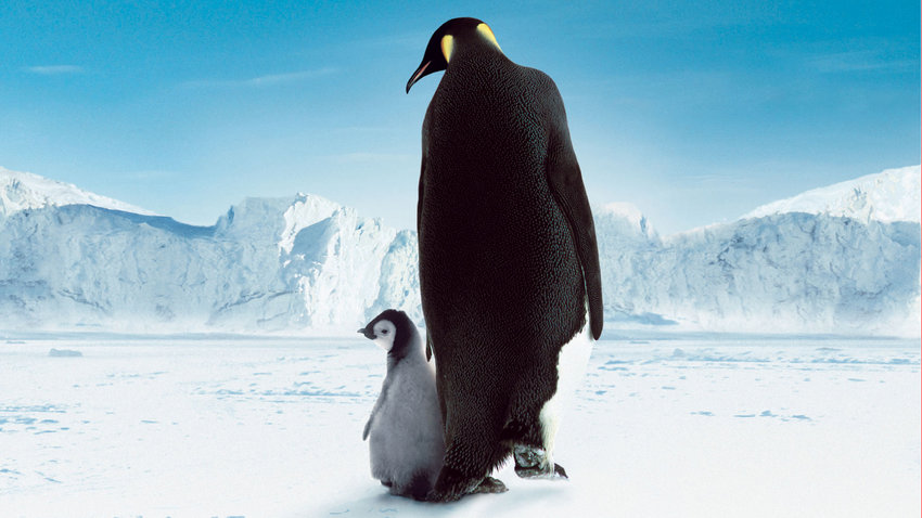 march of the penguins