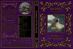 Wonders Of The World