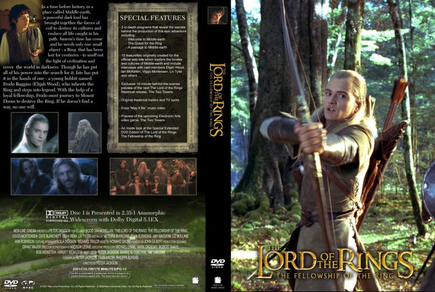 Lord of the Rings Fellowship of the Ring Custom
