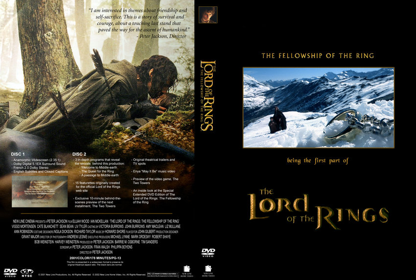 Lord of the Rings Fellowship of the Ring Custom