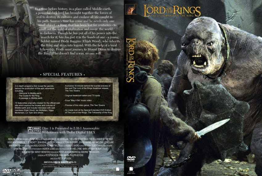 Lord of the Rings Fellowship of the Ring Custom