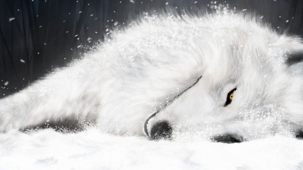 Wolf's Rain