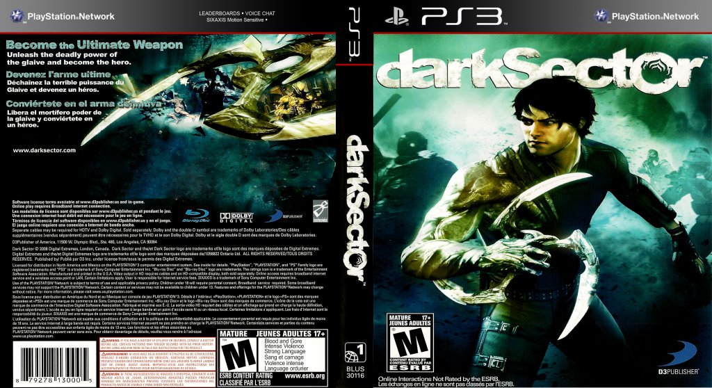 Dark Sector1