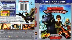 Dragons Gift Of The Night Fury