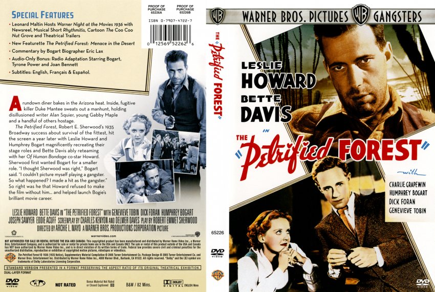 The Petrified Forest