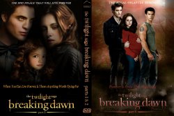 The Twilight Saga - Breaking Dawn - Part 1 And 2