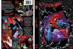 Spider-Man Custom