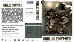 Public Enemies