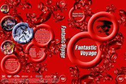 Fantastic Voyage