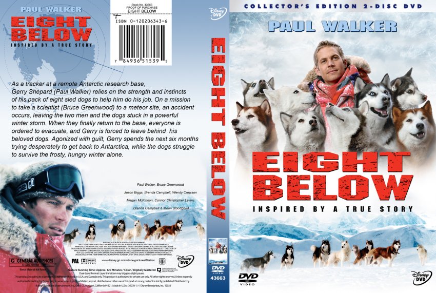eight below