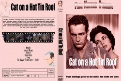 Cat On A Hot Tin Roof