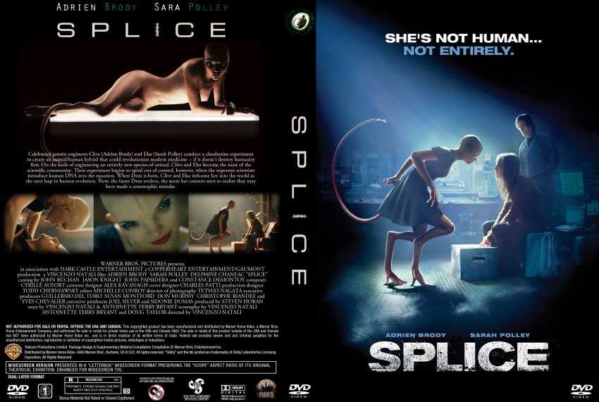 Splice