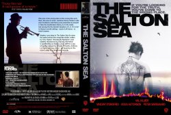 the salton sea