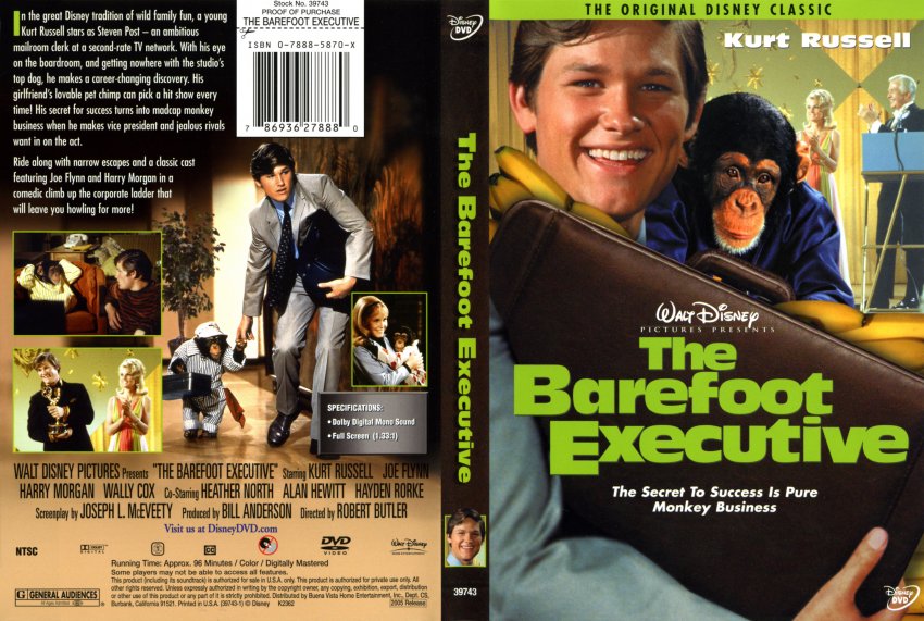 The Barefoot Executive