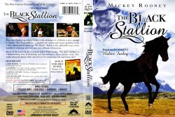 The Black Stallion