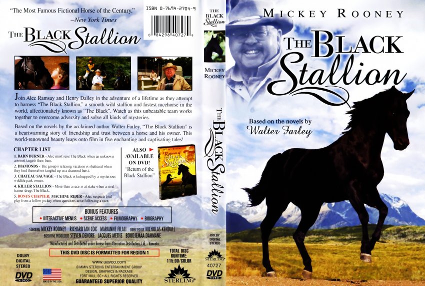 The Black Stallion